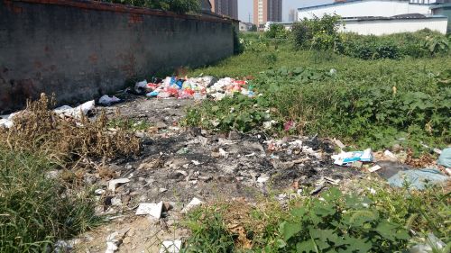 荆林菜市场旁垃圾