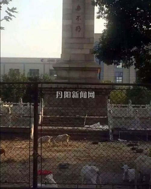 111