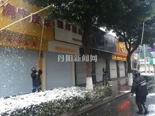树木“减压”除积雪