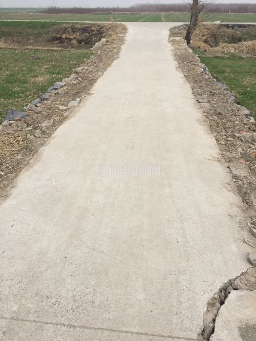村路的全貌