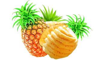 u=3572901298,3304960795&fm=21&gp=0