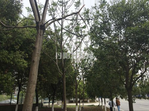 QQ图片20160418093321