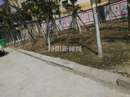 绿地泥土裸露