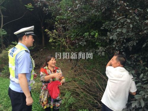 高速采摘果子