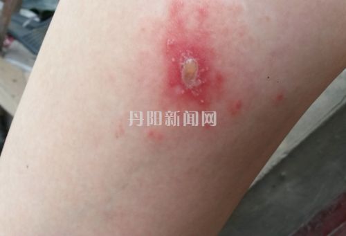 QQ图片20160827111045