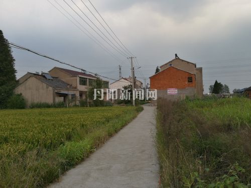 远远望去，雷金柱家墙体的砖色很显眼。