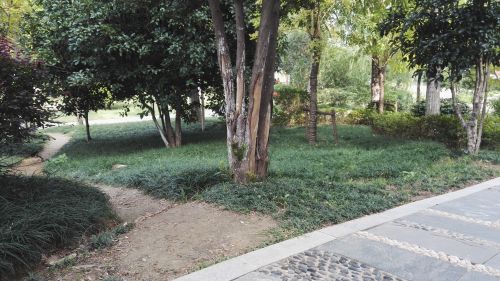 IMG_20161017_140920