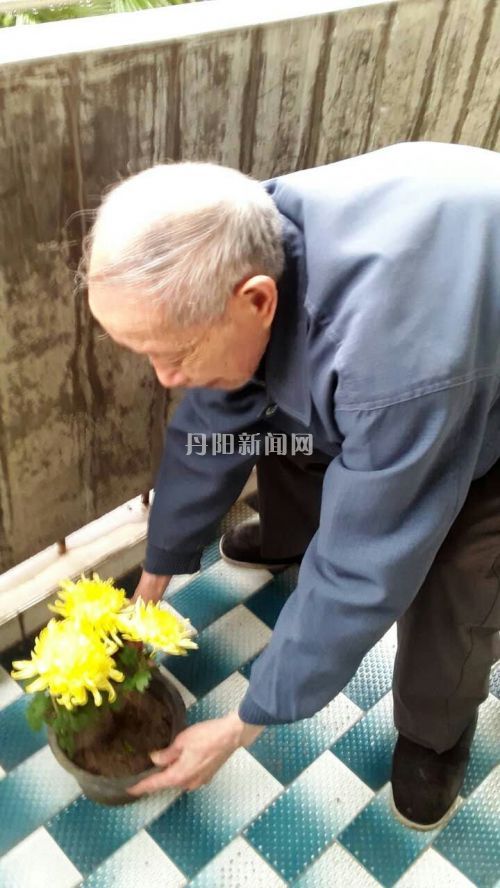 老人送盆栽