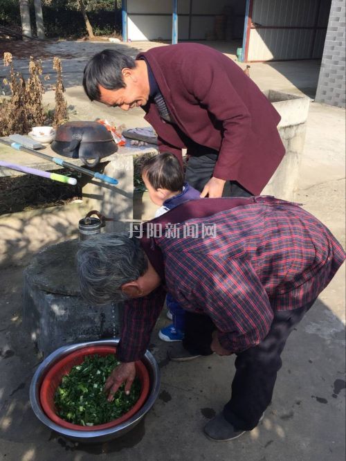 QQ图片20161214090439