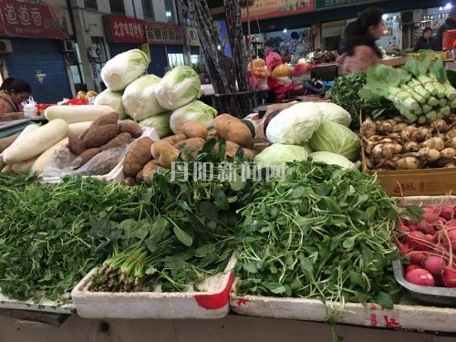 新鲜上市的马兰头、豌豆苗、秧草等蔬菜