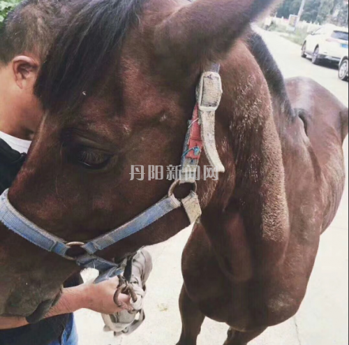 QQ图片20171006094137