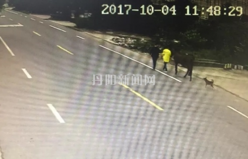 QQ图片20171006095803