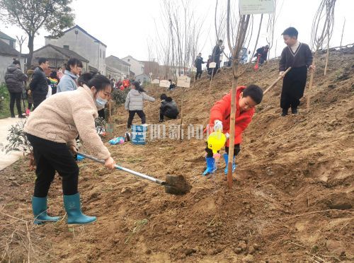 我和妈妈共植树,我与小树同成长素材03121736