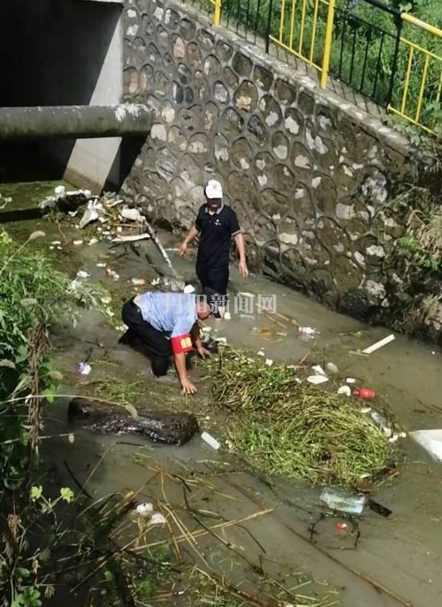 图片新闻素材0