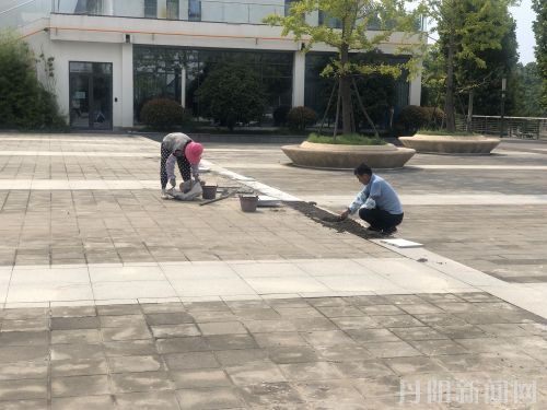 QQ图片20210820084354