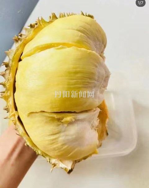 微信图片_20210910121818