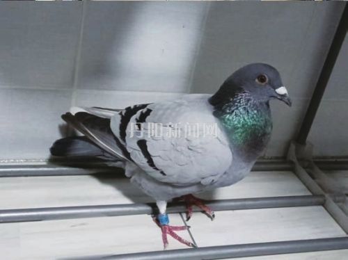 29237bb4fa476eee0a224c18600a0eda