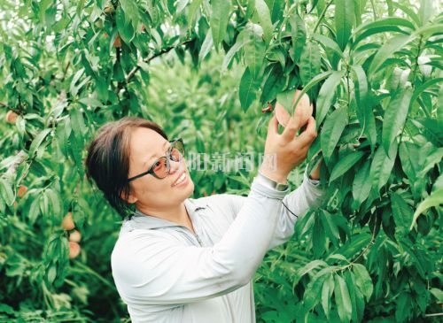昔日废窑地 今朝果飘香