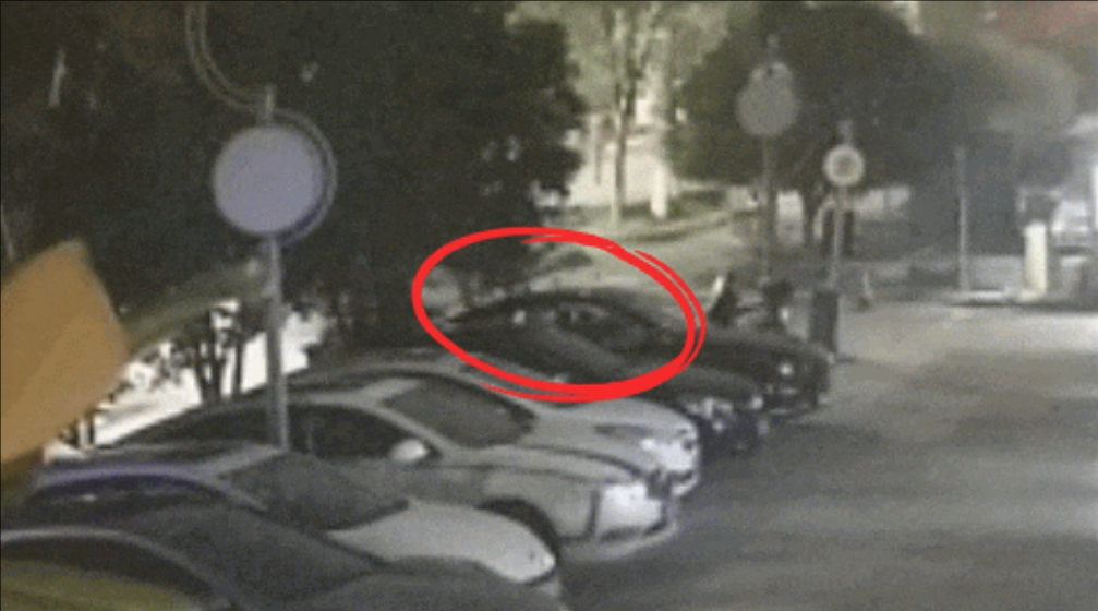 4小时！警方速破“拉车门”盗窃案