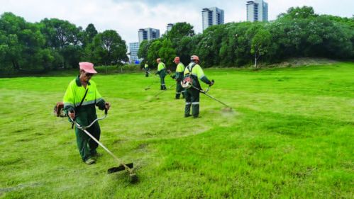 不惧“烤”验，用汗水守护城市“颜值”
