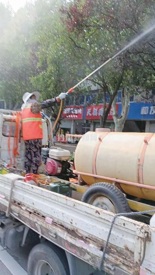 【八姑娘帮你忙】北环路泡桐树虫害扰民盼治理