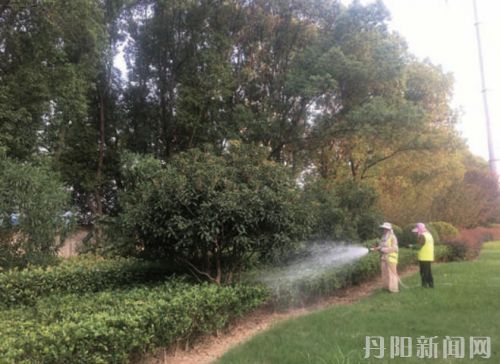 战高温抗旱保绿 为绿植“解渴降温”