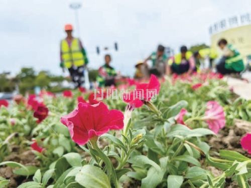 开发区换“花”衣迎“双节”