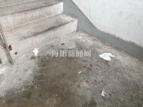 cf8aa4134de6435f574a4ab9773a4838