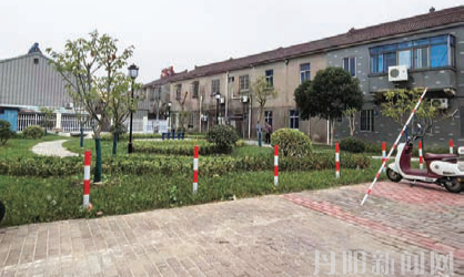痴树花村新建花园频遭“黑手”盼管护