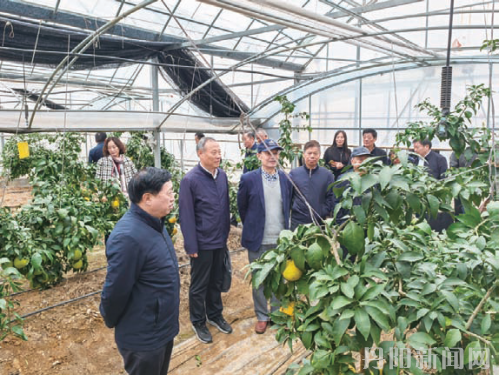 91a64363a7eded611167ac391573bc52