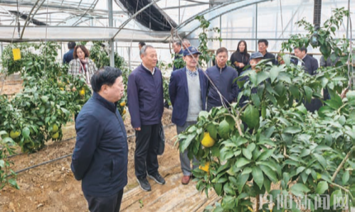 增强帮扶工作活力，助推青年农民创业成业