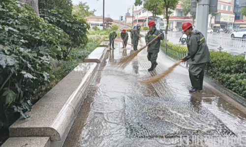“雨水洗路”助环保 “变废为宝”促循环