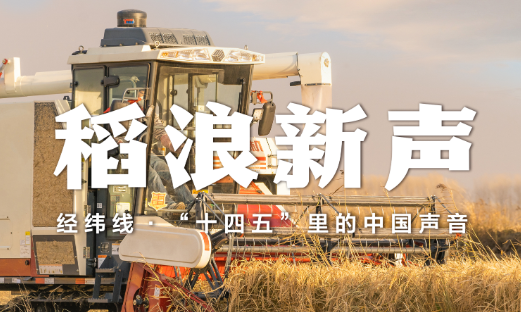 经纬线·稻浪新声