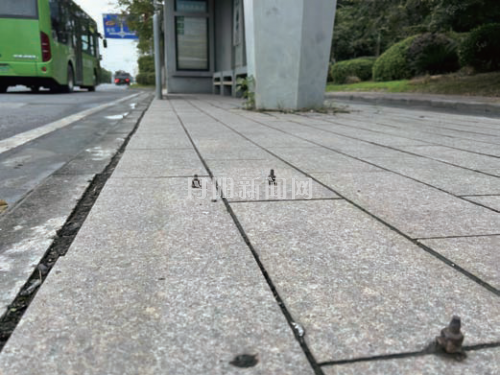 26b4796a307a93e7f076e9b8b8c4d6a7