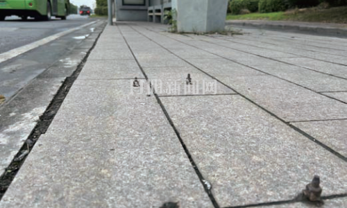 钉子凸起存隐患盼处理