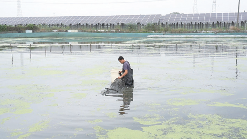 44936b5bae4b18d245667b3646c54521