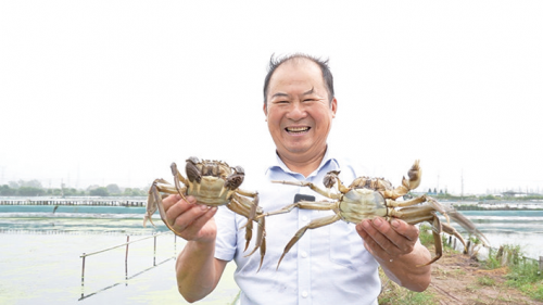 10e2e8a7b6918fc4d86e03baf68ae48e