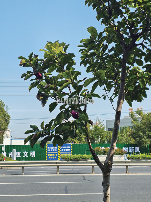 75f87c21637351a56f85c36ba8aa208b