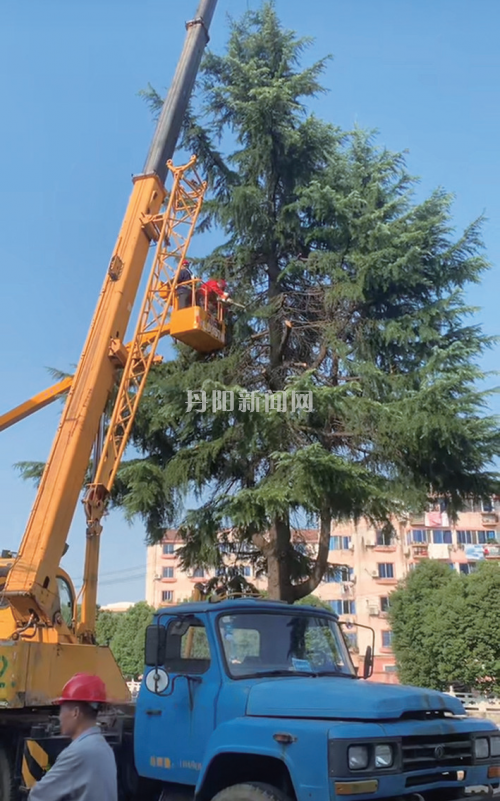 258eeddde51a3fb3a532aa7d30a6a968