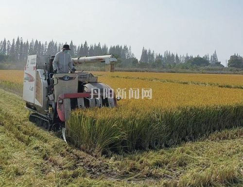 c48bae6cd7b4b7d51d202b5be948c335