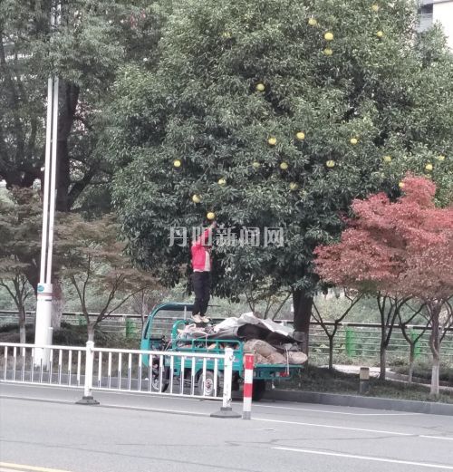 7d5dfa482d4da87befa4678e394e9bd8