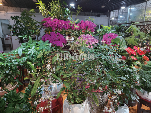 9015c431a3ffb40776742f17a9a3f055