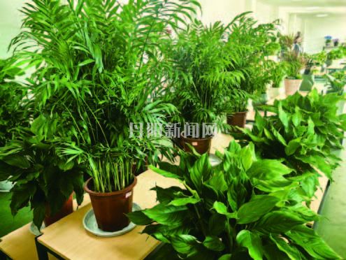 8fabb8efff71f30415cbc6f32ac0c830