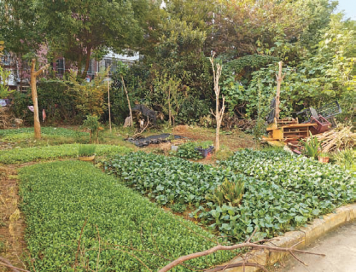 29946859ae1a6a97ba2492fc1376f057