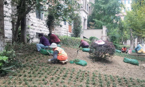 物业“绿茵行动” 守护小区“底色”