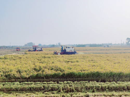 bf29f905c237ad30dcd0dcc27eda4530