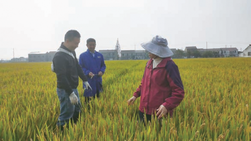 a7afe9f5c25460a2533784bd8173c838