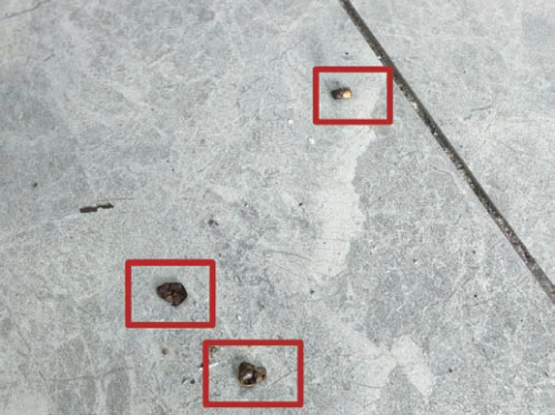 7a287a3c24760742f9cd832a55458947