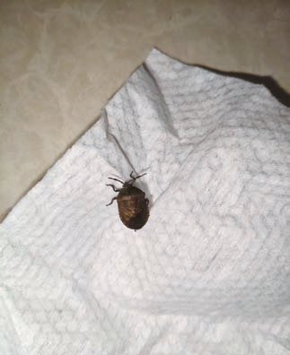 2c6a51fd1c589e05b244b0358df95ab0