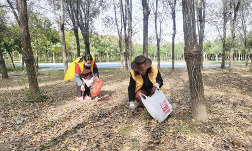 环保公益志愿行 共筑绿意美丽家